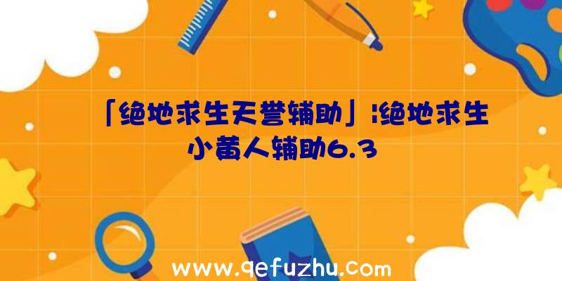 「绝地求生天誉辅助」|绝地求生小黄人辅助6.3